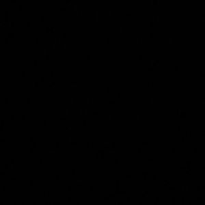 Meet your Posher, Arianna